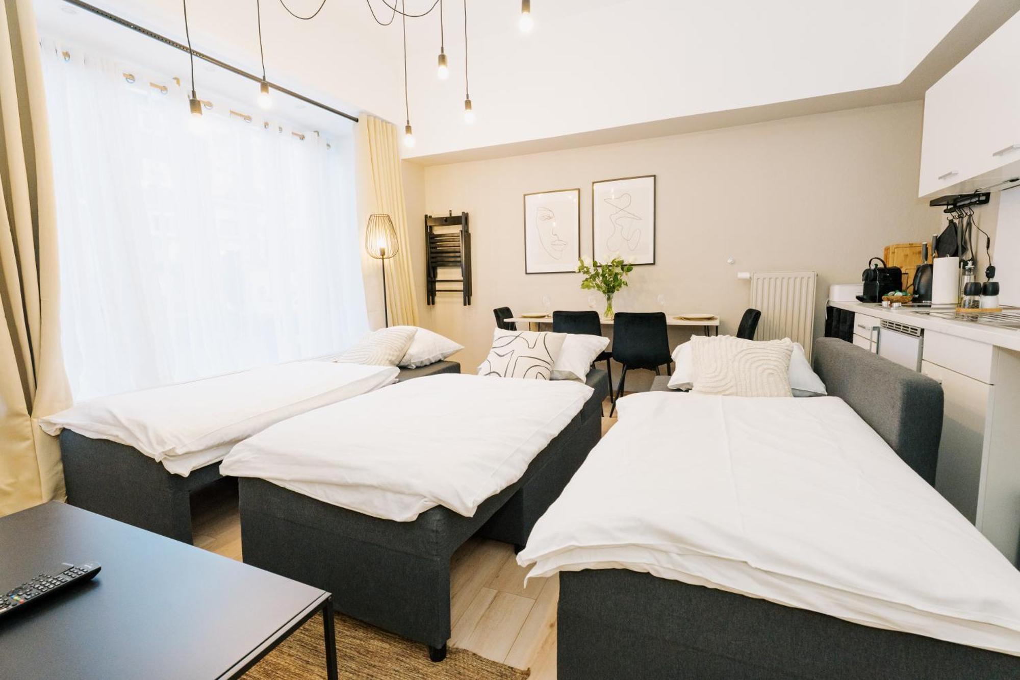 Apartment City-apartment Kreuzviertel-laedchen-60 Qm Munster (North Rhine-Westphalia)